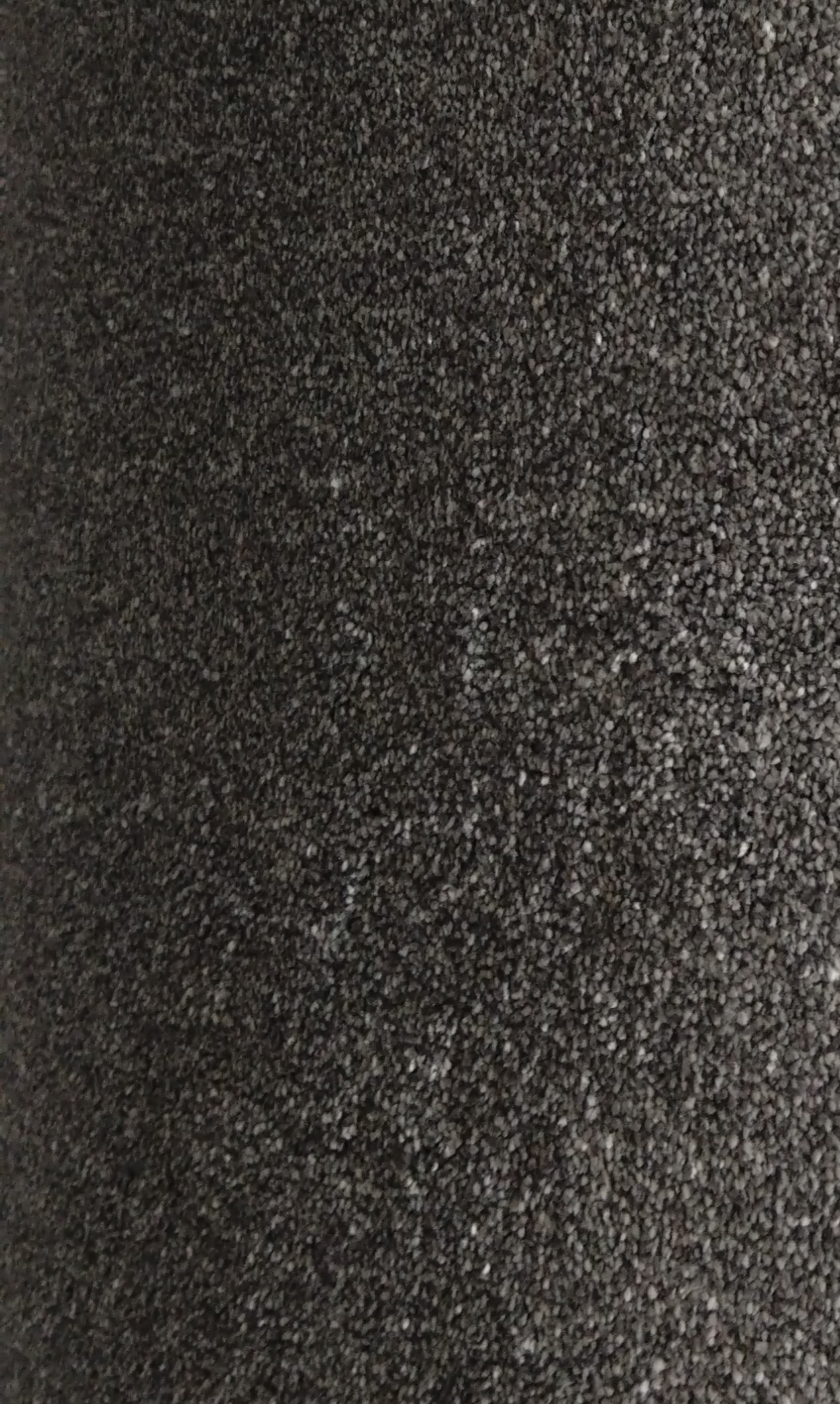 >MELODY COLOUR PENCIL 